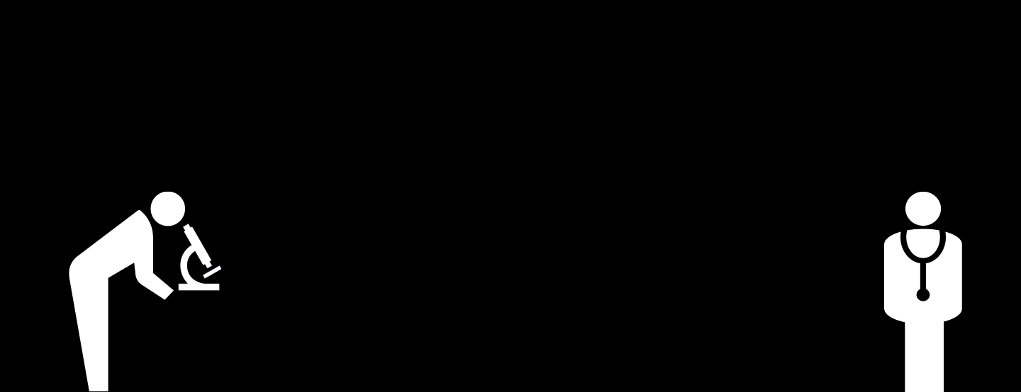 Career Acceleration Fellowships Web Banner